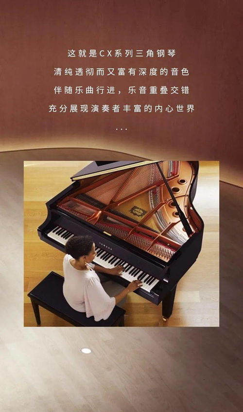 產(chǎn)品介紹 cx系列 這是一臺會唱歌的鋼琴