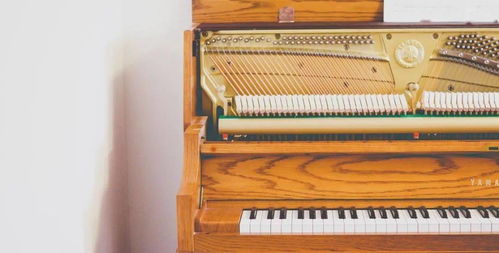 守護(hù)冬日琴音 鋼琴保養(yǎng)實用小妙招