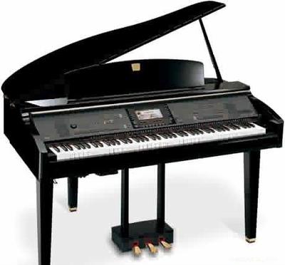 鋼琴 奏響人類(lèi)文明的華美樂(lè)章